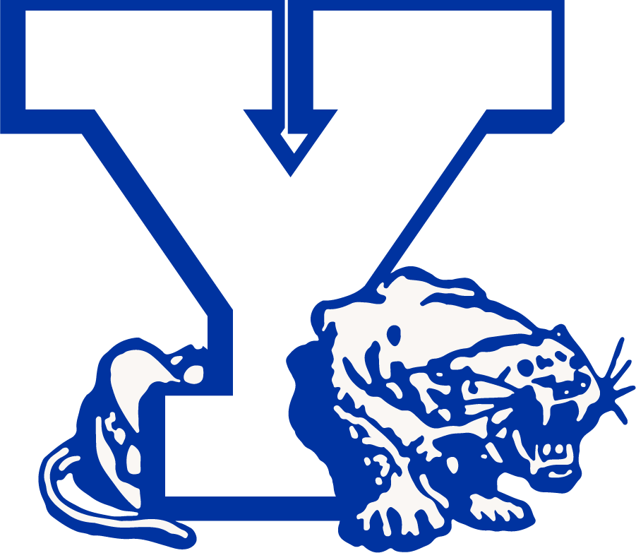 Brigham Young Cougars 1972-1982 Secondary Logo iron on transfers for T-shirts